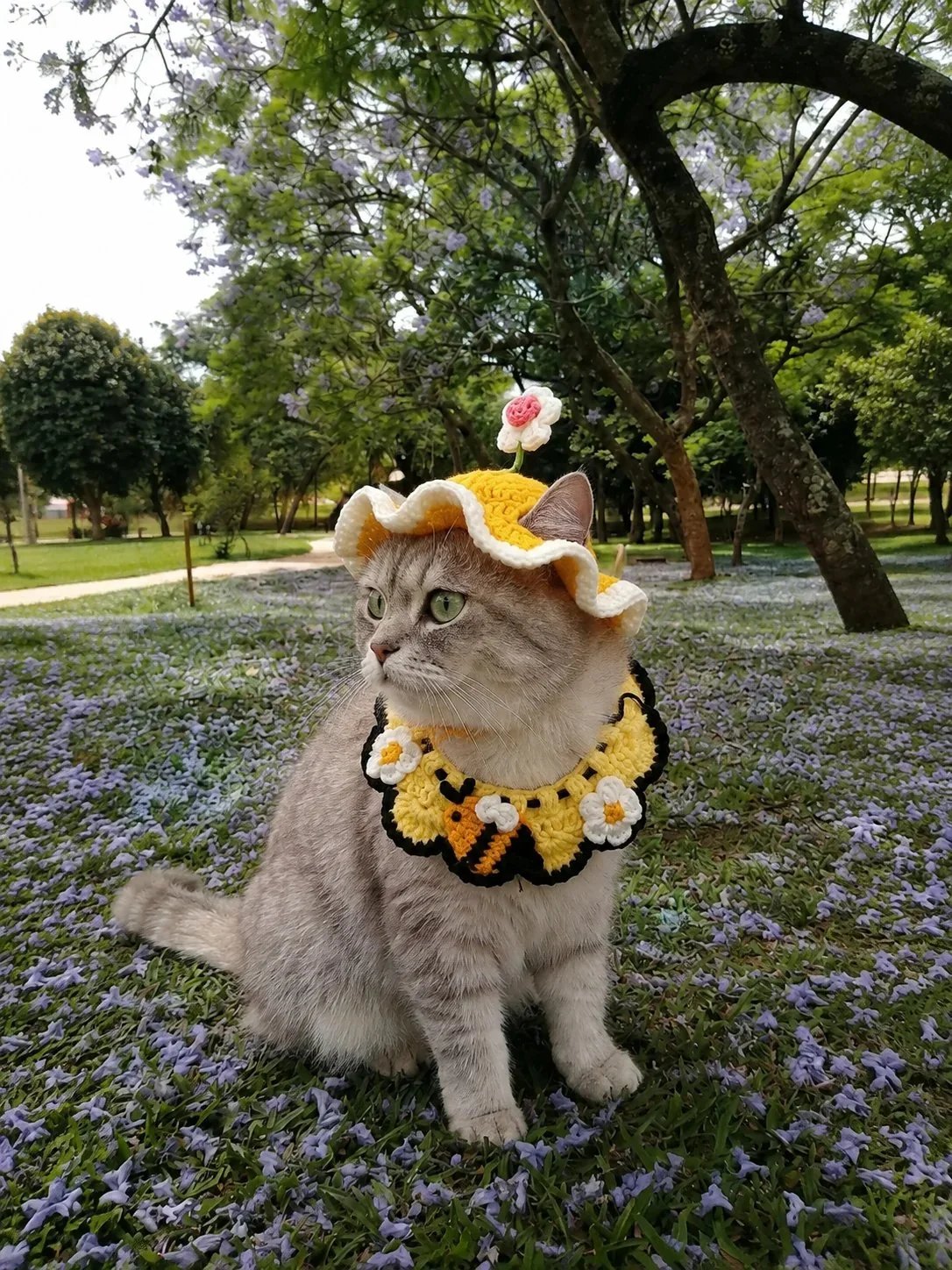 Handmade Crochet Pet Hat - Make Every Moment With Them More Adorable
