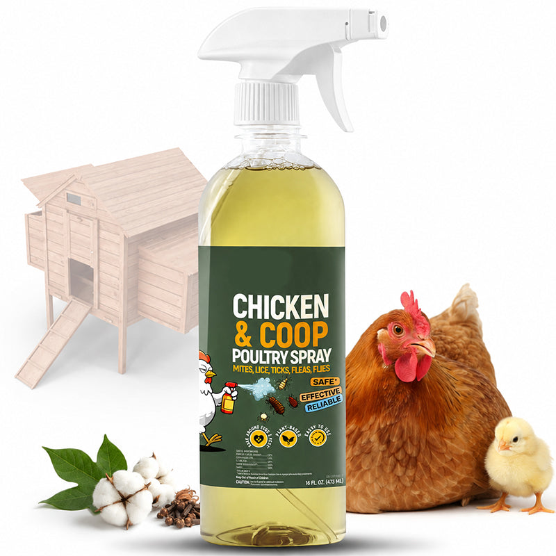 β‘π Natural spray for the chicken coop