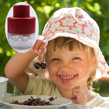 🚙Efficient 7-Hole Cherry Pitter Tool