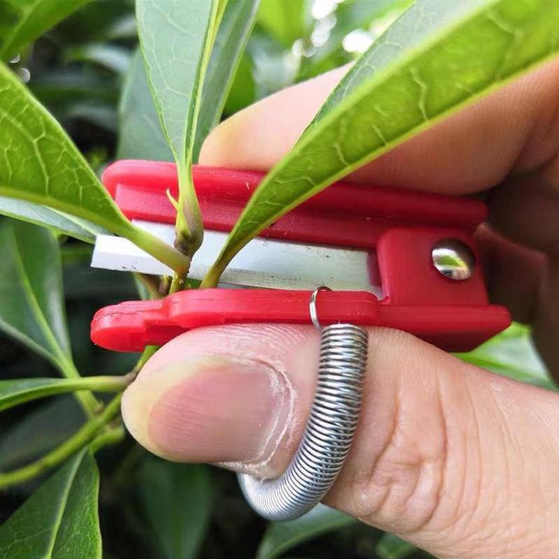 3 PCS Garden Thumb Knife🍀