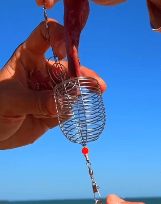 Stainless Steel Fishing Bait Cage Trap Basket Feeder Holder- Fishing Rig Attachment