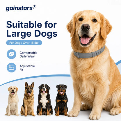 Gainstarx Adjustable Fresh Scent Dog Collar – Comfortable Lightweight Pet Collar for Large Dogs (Over 18 lbs)