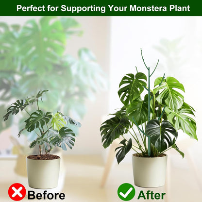 🔥Adjustable Plant Support Stakes – Easy Climbing Support for Indoor & Outdoor Plants