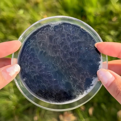 🌌Ocean Tide — Handcrafted Moving Wave Sand Art Coaster