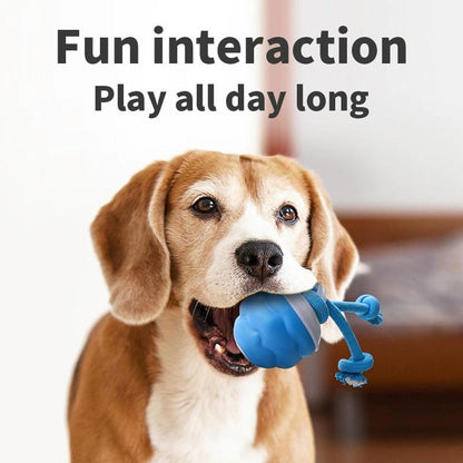 Interactive Dog Toys with Motion Activated, Squeaky Dog Toy Active Rolling Ball