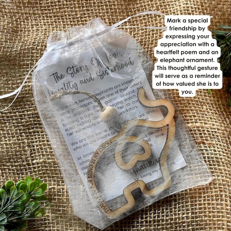 🔥LAST DAY 49% OFF - 🐘Friendship gift • sisterhood elephant