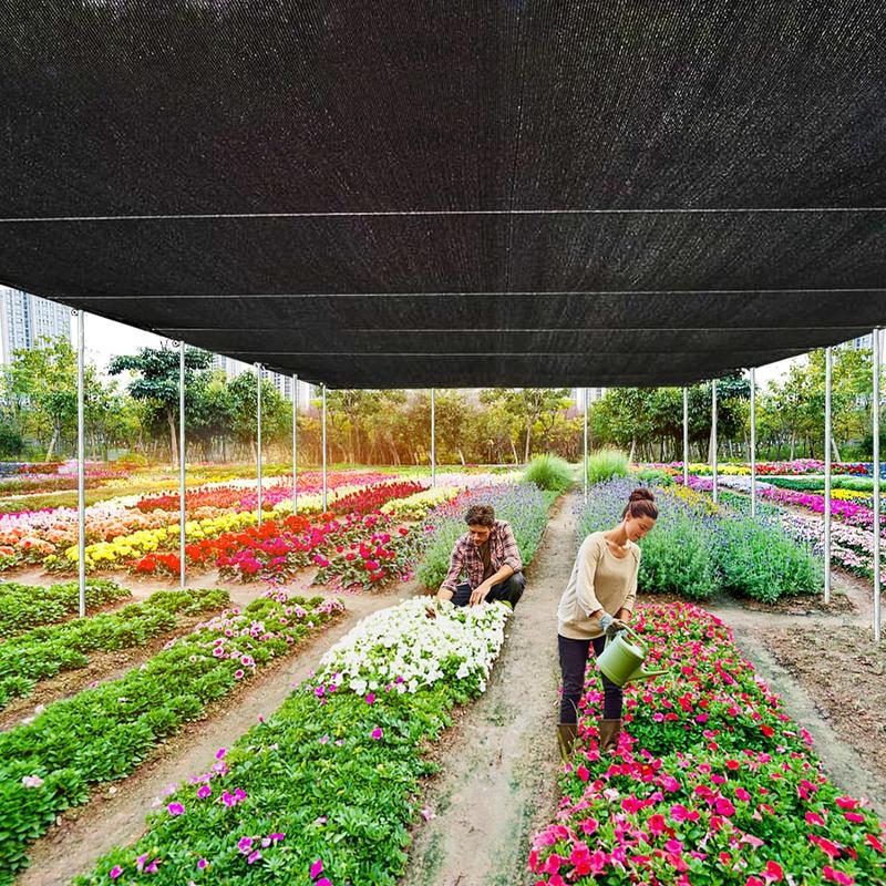 🔥Limited Time 50% Off✨Shade&Beyond 90% Sun Shade Cloth with Grommets