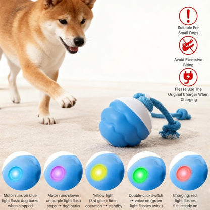 Interactive Dog Toys with Motion Activated, Squeaky Dog Toy Active Rolling Ball