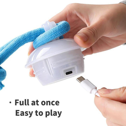 Interactive Dog Toys with Motion Activated, Squeaky Dog Toy Active Rolling Ball