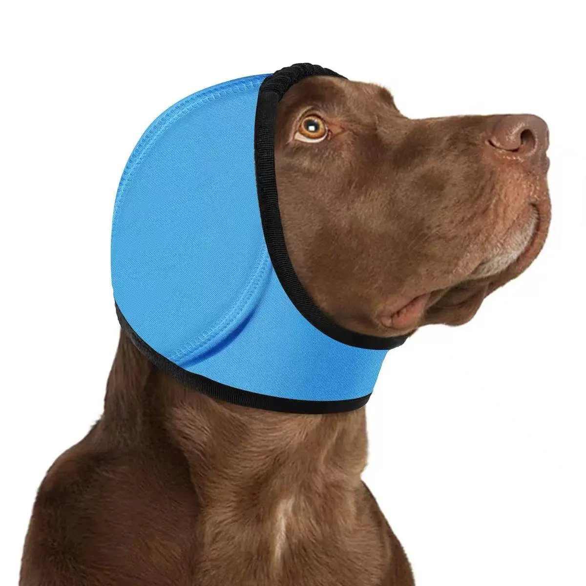 Scerich.TM Dog Calming Ear Wrap