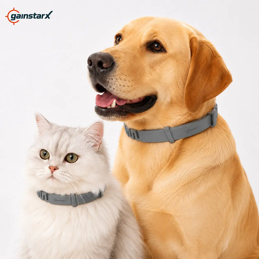 Gainstarx Adjustable Fresh Scent Dog Collar – Comfortable Lightweight Pet Collar for Large Dogs (Over 18 lbs)