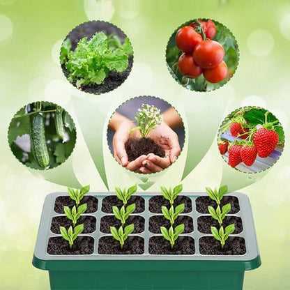 🔥50% discount while stocks last!🎉Seed starter trays with grow light