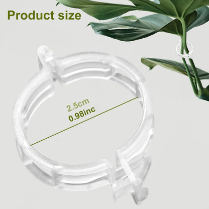 🔥Limited Time 50% Off✨Plant Support Clips
