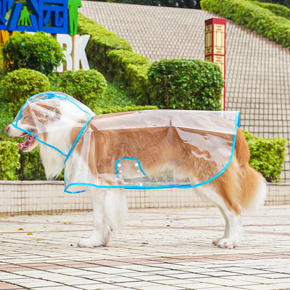 💥2026 HOT SALE💞50K+ SOLD! ✨ 50% OFF!💥Transparent Raincoat For Dog