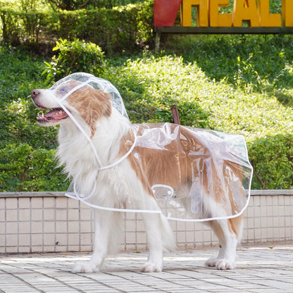 💥2026 HOT SALE💞50K+ SOLD! ✨ 50% OFF!💥Transparent Raincoat For Dog