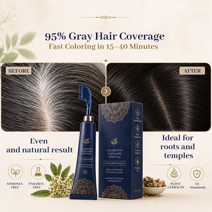 ⏳Time-Limited Special⏰Herbal Hair Dye Comb for Home Use