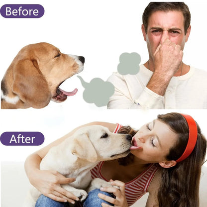 🔥#1 Bestseller - Sconto del 49%丨Pet Tartar Remover Foam