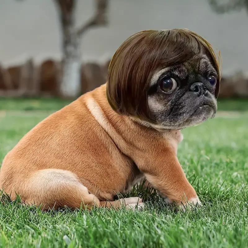 🐶 Funny Pet Wig Headband for Dogs & Cats – Cute Costume Accessory for Photos, Parties & Holidays
