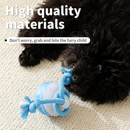 Interactive Dog Toys with Motion Activated, Squeaky Dog Toy Active Rolling Ball