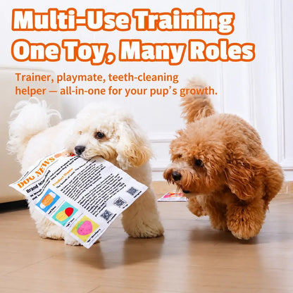 Interactive Newspaper Dog Toy