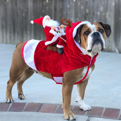Santa Rider Pet Christmas Costume