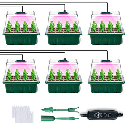 🔥50% discount while stocks last!🎉Seed starter trays with grow light