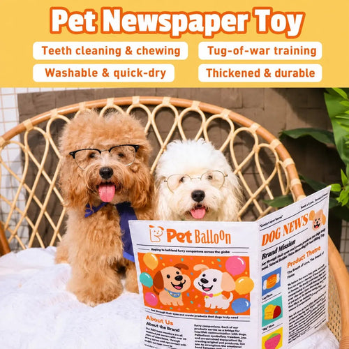 Interactive Newspaper Dog Toy