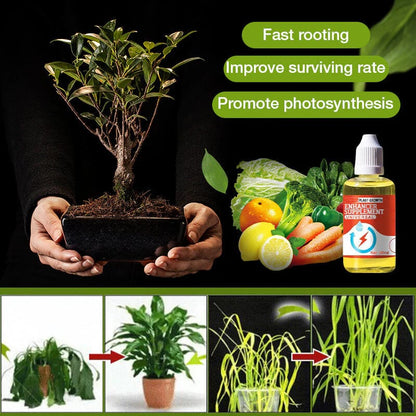 💥This Week Promotion 49% OFF💥 Plant Growth Enhancer Supplement