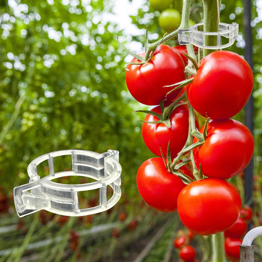🔥300Pcs Heavy-Duty Tomato Trellis Clips