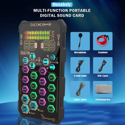 SK9 Wired Small Handheld Live Sound Card Set