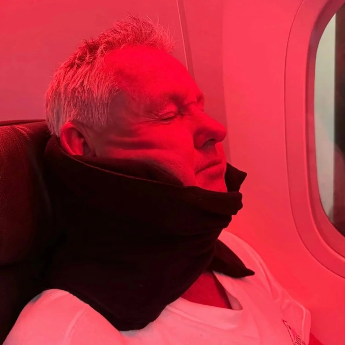 Travel Neck Pillow