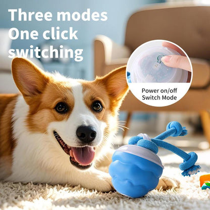 Interactive Dog Toys with Motion Activated, Squeaky Dog Toy Active Rolling Ball