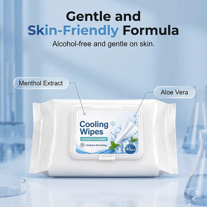 Portable Refreshing Wet Wipes for Gym