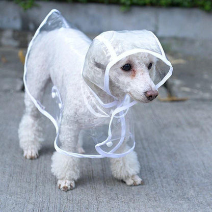 Transparent Raincoat For Dog