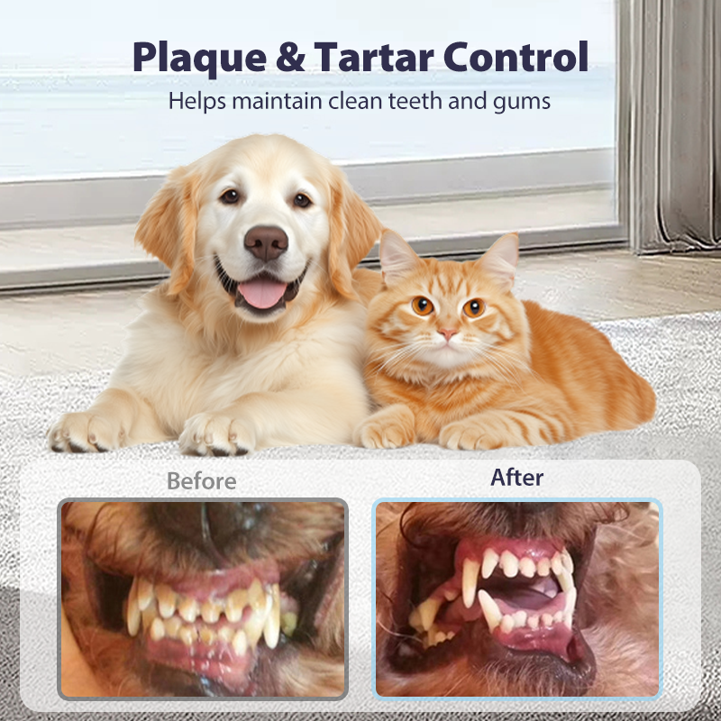 💥No-Brush Pet Dental Care Spray