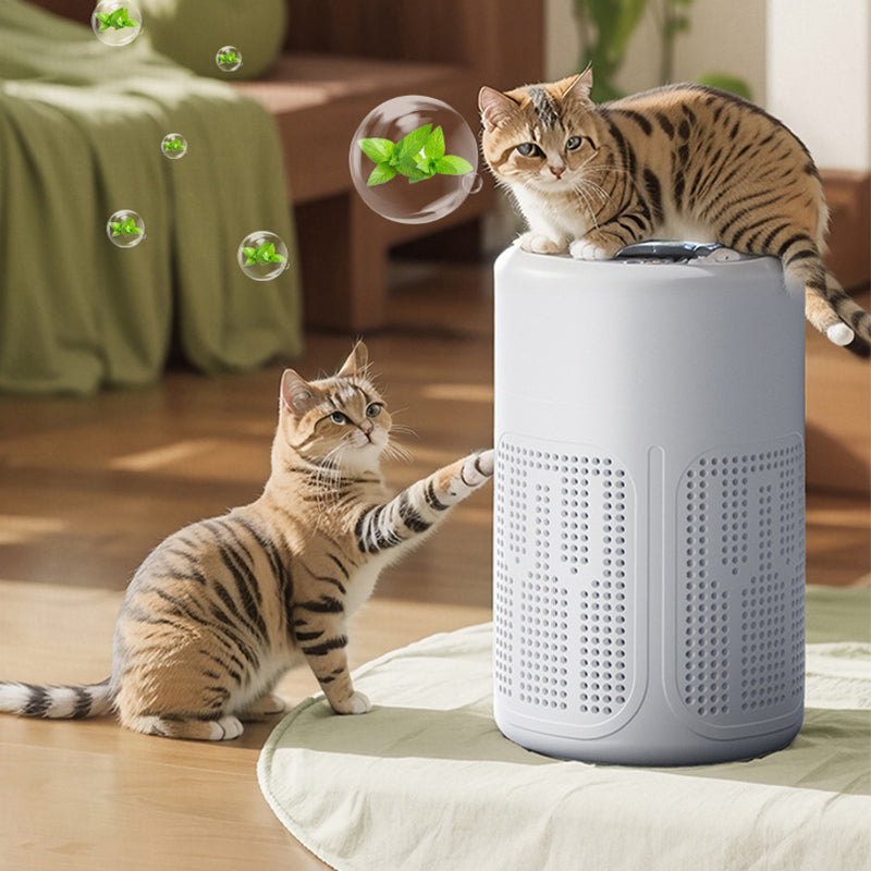 ⏰🔥50% OFF! 🌬️ Compact Home Air Purifier – Quiet, Energy-Efficient & Perfect for Allergies, Dust & Pet Hair 🏠✨