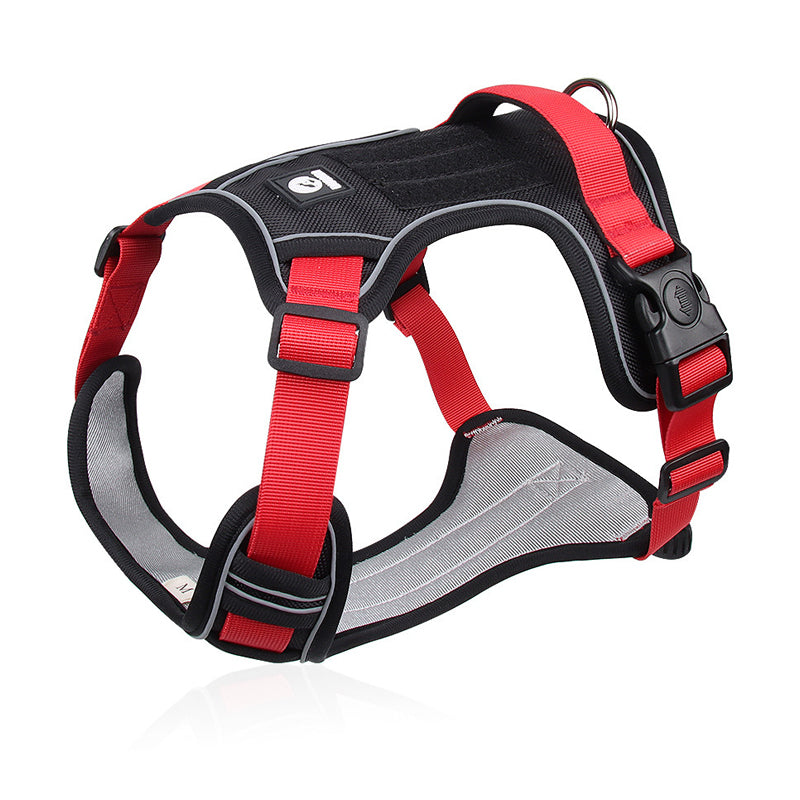 🦮 No‑Pull Dog Harness Kit with Leash & LED Collar – Escape‑Proof, Breathable Padding & Night Visibility 💡