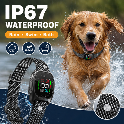 ⭐ Bestseller! No-shock anti-bark collar – beep & vibration modes, IP67 waterproof. Fits all sizes. 🐕✨