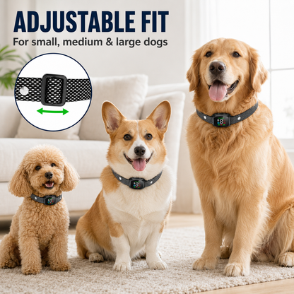 ⭐ Bestseller! No-shock anti-bark collar – beep & vibration modes, IP67 waterproof. Fits all sizes. 🐕✨