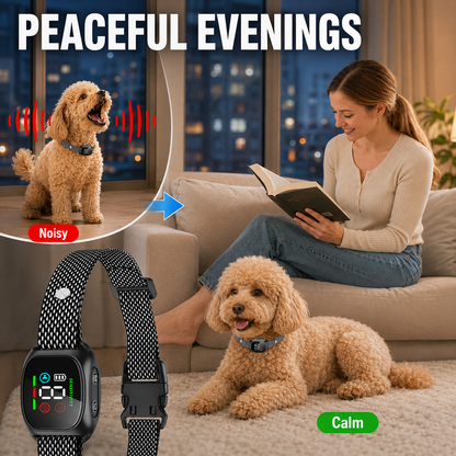 🛡️🐾 50% OFF! Anti Bark Collar – Smart anti‑false triggering filters out other barks. IP67 waterproof & USB rechargeable – worry‑free training anywhere! 💦✅