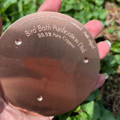 Natural Algae Inhibitor for Bird Baths & Fountains🔥