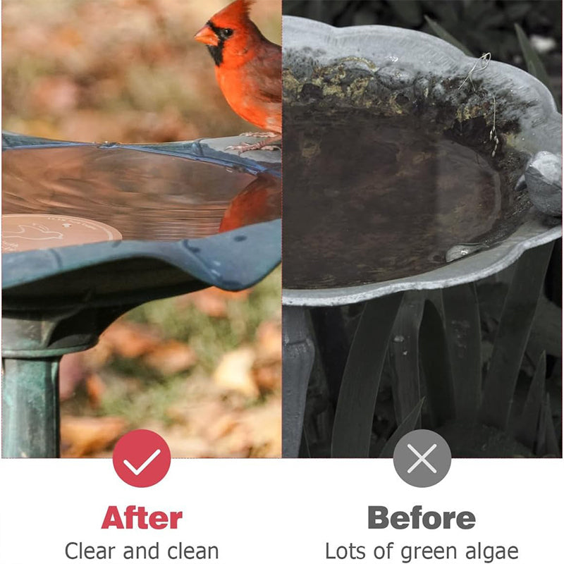 Natural Algae Inhibitor for Bird Baths & Fountains🔥
