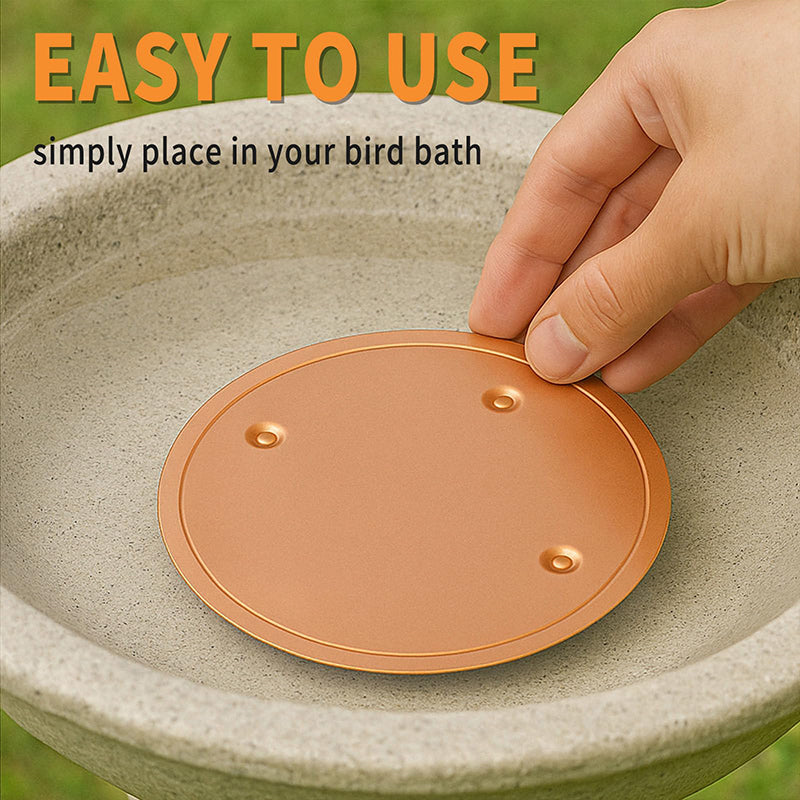Natural Algae Inhibitor for Bird Baths & Fountains🔥