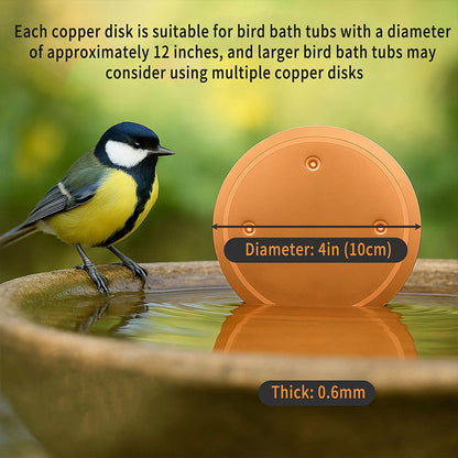 Natural Algae Inhibitor for Bird Baths & Fountains🔥