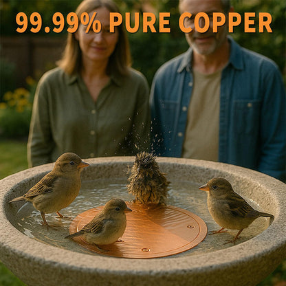 Natural Algae Inhibitor for Bird Baths & Fountains🔥