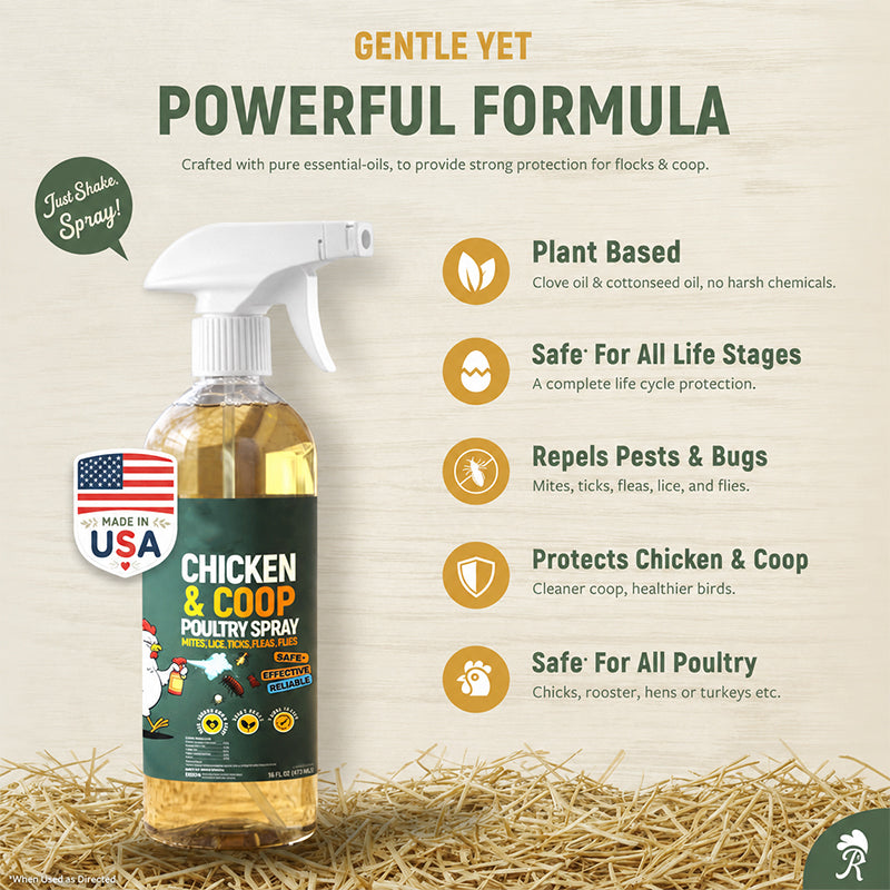 📢📢LIMITED-TIME 50% OFF!⚡🐔Poultry & Chicken Coop Mite and Lice Spray❄️