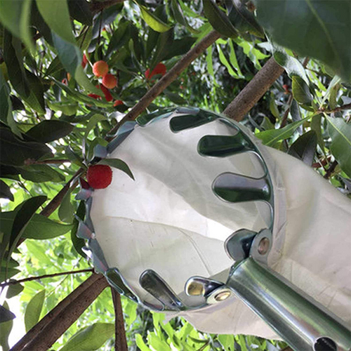 ⏳ Limited-Time Offer! 🍎 Fruit Picker Head Basket – No Ladder Needed, Reach High Branches & Pick Apples, Pears & More 🌳