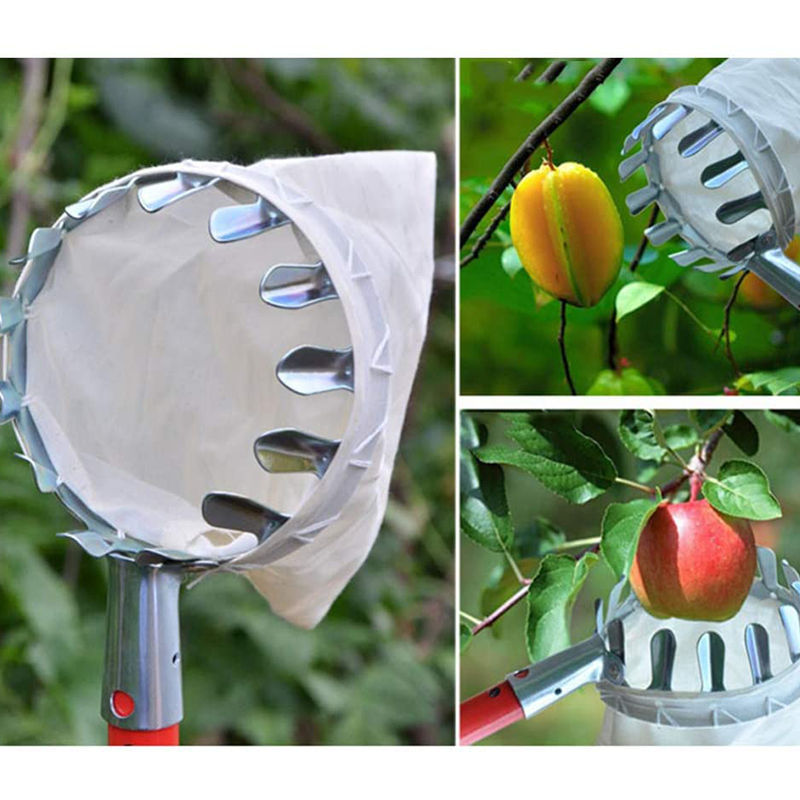 ⏳ Limited-Time Offer! 🍎 Fruit Picker Head Basket – No Ladder Needed, Reach High Branches & Pick Apples, Pears & More 🌳