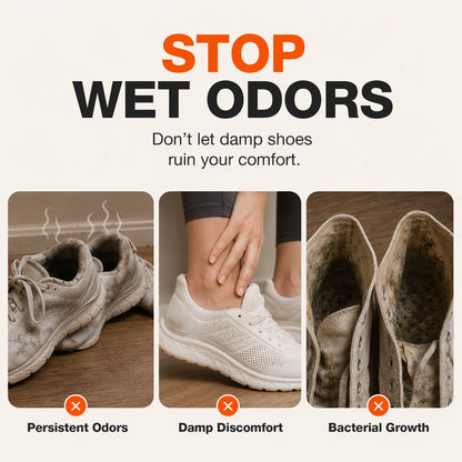 Foldable Shoe Dryer with Smart Timer and UV Light